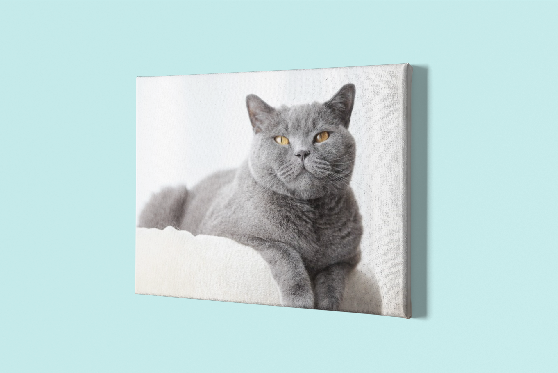 Tablou Canvas A2